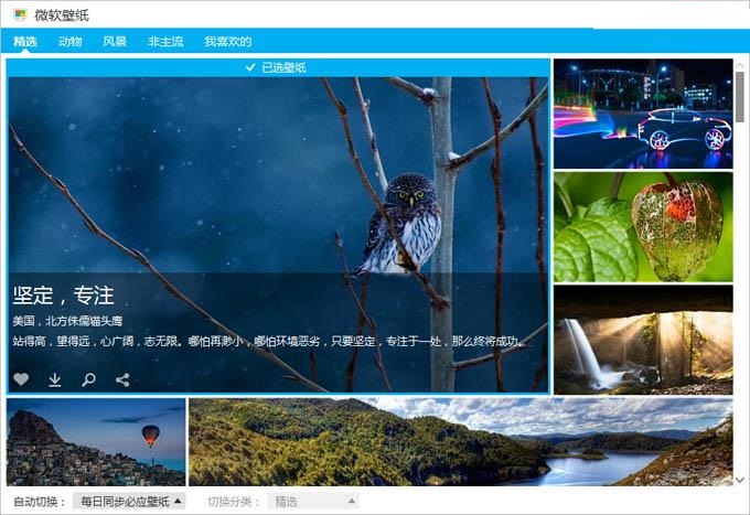 微软壁纸桌面版软件 v1.0 最新版0