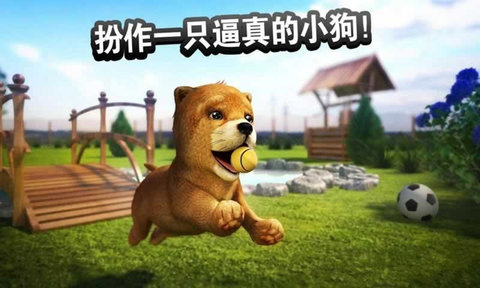 小狗模拟器游戏 v2.56.7 安卓版1