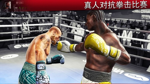 真实拳击2中文最新版(real boxing 2) 截图1