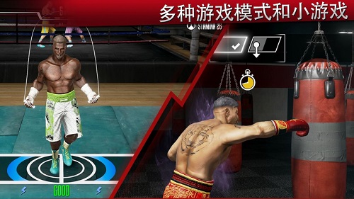 真实拳击2中文最新版(real boxing 2) 截图4