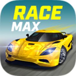 最佳赛车手中文版(race max)