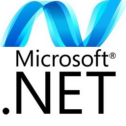 microsoft net framework4.0.30319
