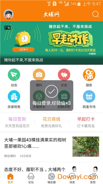 大埔网app