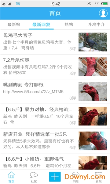 中国斗鸡论坛手机版