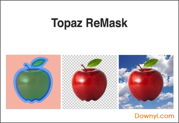 topaz remask修改版下载2