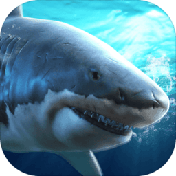 真实模拟鲨鱼捕食手游