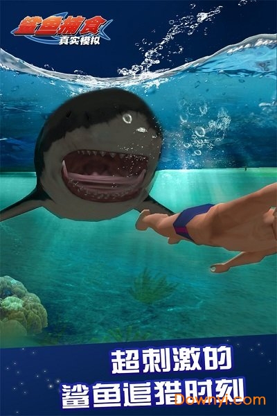 真实模拟鲨鱼捕食手游 截图2