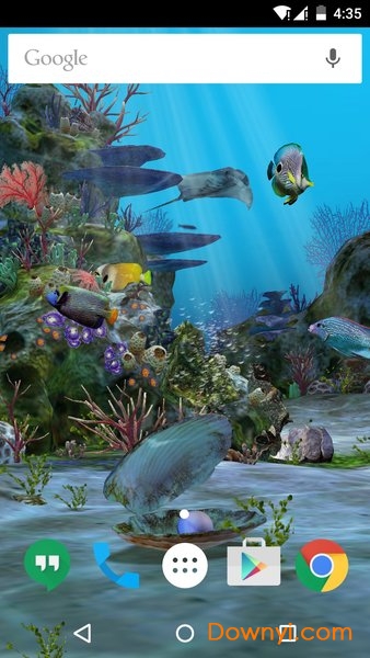 3d水族馆动态壁纸手机版 截图0