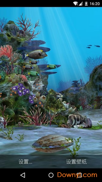 3d水族馆动态壁纸手机版 截图2