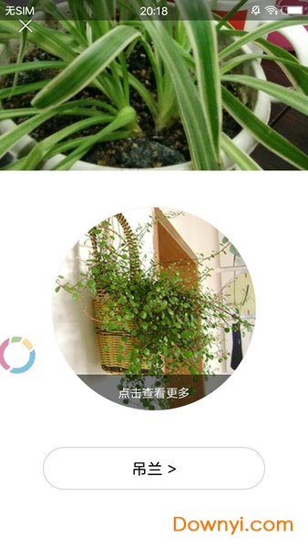 识花君拍照识别植物安装截图