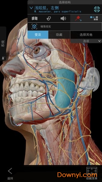 2022人体解剖学图谱免费版(atlas) 截图1