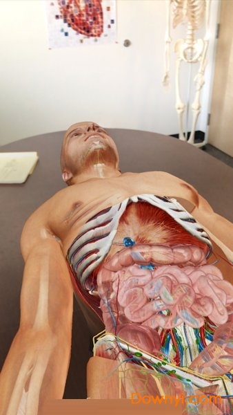 人体解剖学图谱直装修改版(atlas) 截图2
