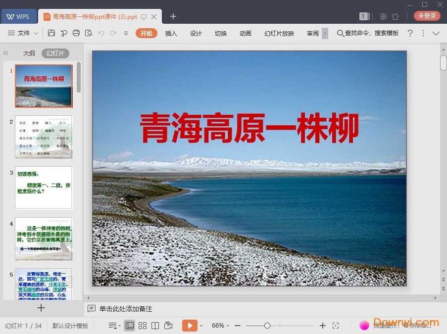 青海高原一株柳免费ppt