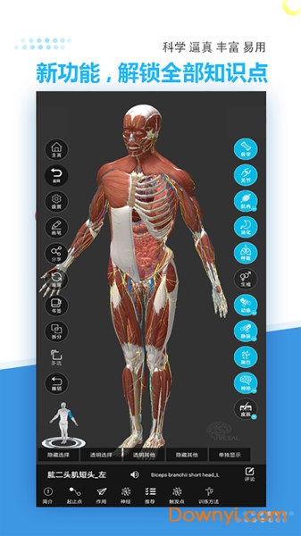 维萨里3d解剖免费版