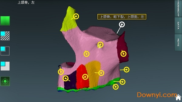 人体解剖学图集3d2022 v3.8.2 安卓中文版0