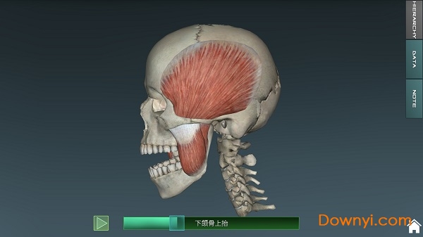 人体解剖学图集3d2022 v3.8.2 安卓中文版2