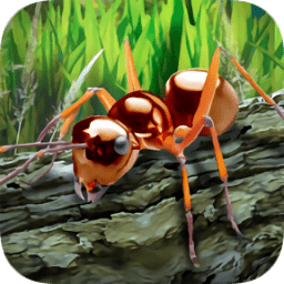 蚂蚁生存模拟器中文版下载