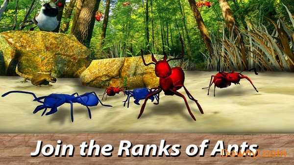 蚂蚁生存模拟器游戏 v1.01 安卓版0