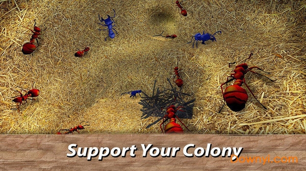 蚂蚁生存模拟器游戏 v1.01 安卓版1