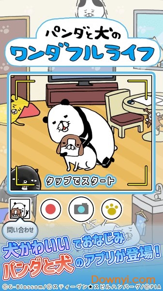 熊猫与狗狗的美好人生游戏 v1.0.4 安卓版0