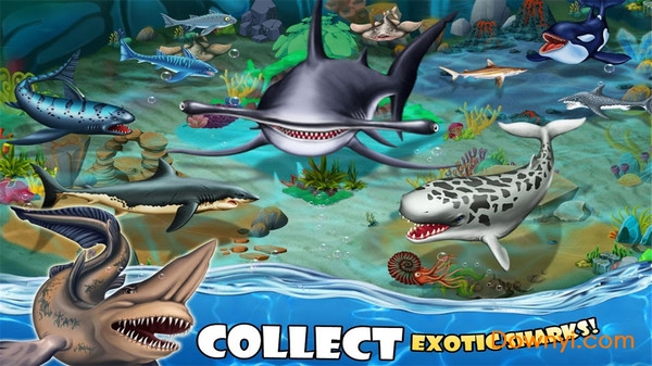 鲨鱼世界游戏修改版 截图1