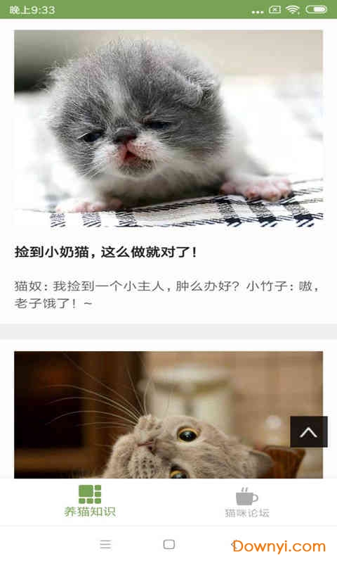 猫咪生活圈软件