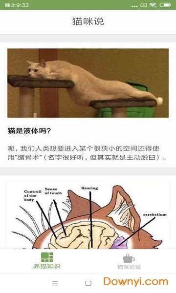 猫咪生活圈软件