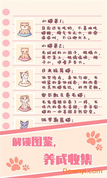 云撸猫咪手游 v1.0 安卓最新版0