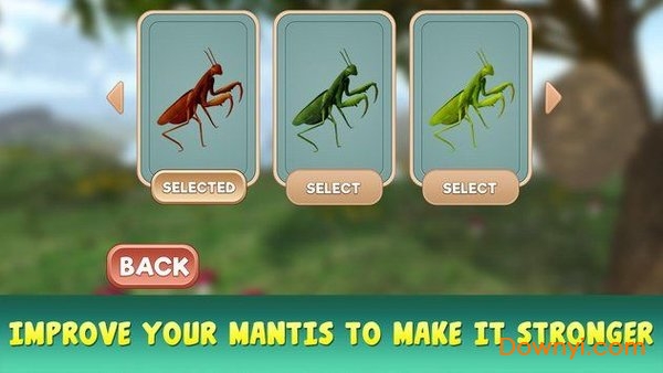 螳螂模拟器游戏 截图0