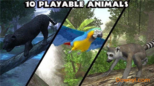 丛林动物模拟器修改版