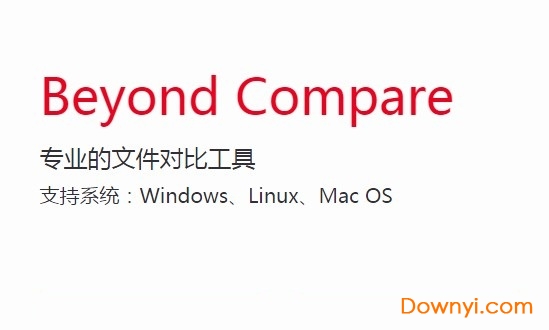 beyond compare4免费版(文件对比工具) 截图0