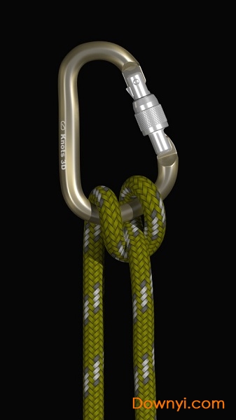 Knots 3D绳结 截图0