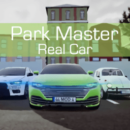 真正的停车场中文版(real car park master)