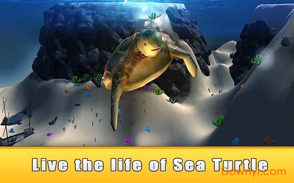 海龟模拟器游戏 截图0