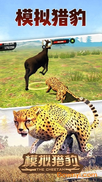 模拟猎豹游戏单机版 v1.0.0 安卓版1