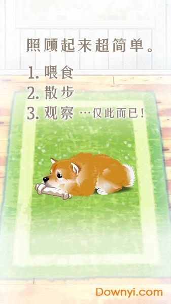 养育柴犬的治愈游戏官方版 截图2