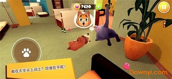 猫咪模拟器3d最新版 v1.0 安卓版1