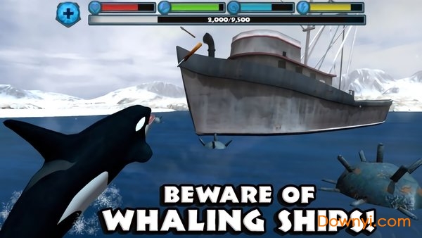 终极虎鲸模拟器游戏 截图2