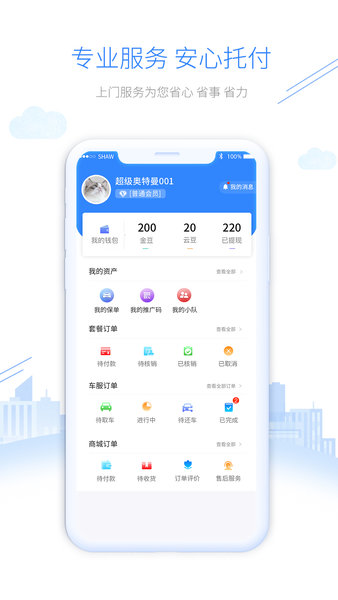 汽车app