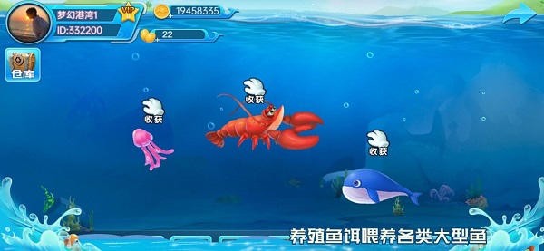 梦幻海湾游戏