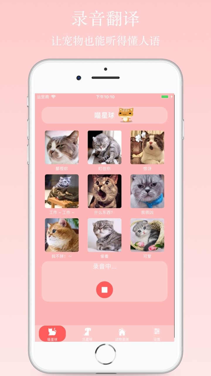 猫狗语翻译器中文版 v24 安卓免费版0