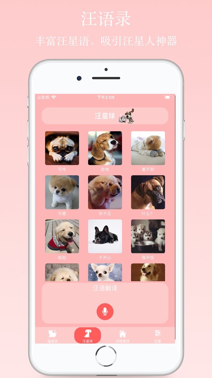 猫狗语翻译器中文版 v24 安卓免费版1