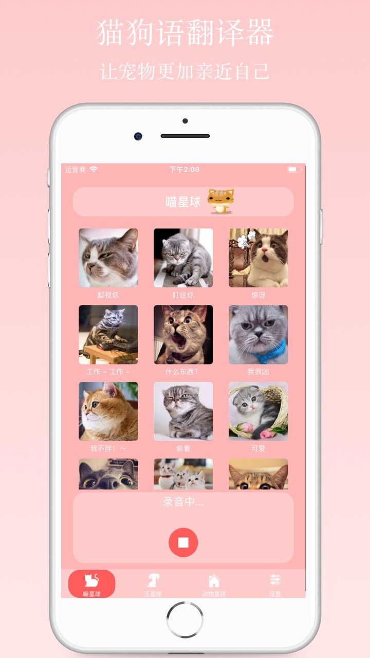 猫狗语翻译器app官方版