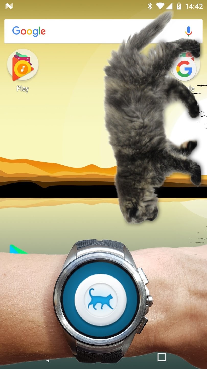 可爱猫动态屏幕app v2.5 安卓版1