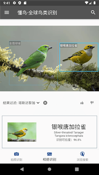 懂鸟全球鸟类识别 截图0