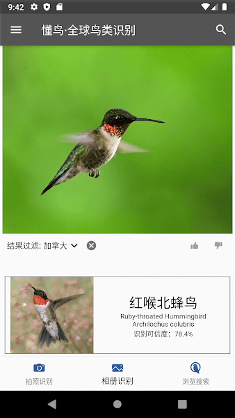 懂鸟全球鸟类识别 v0.0.10 最新安卓版2