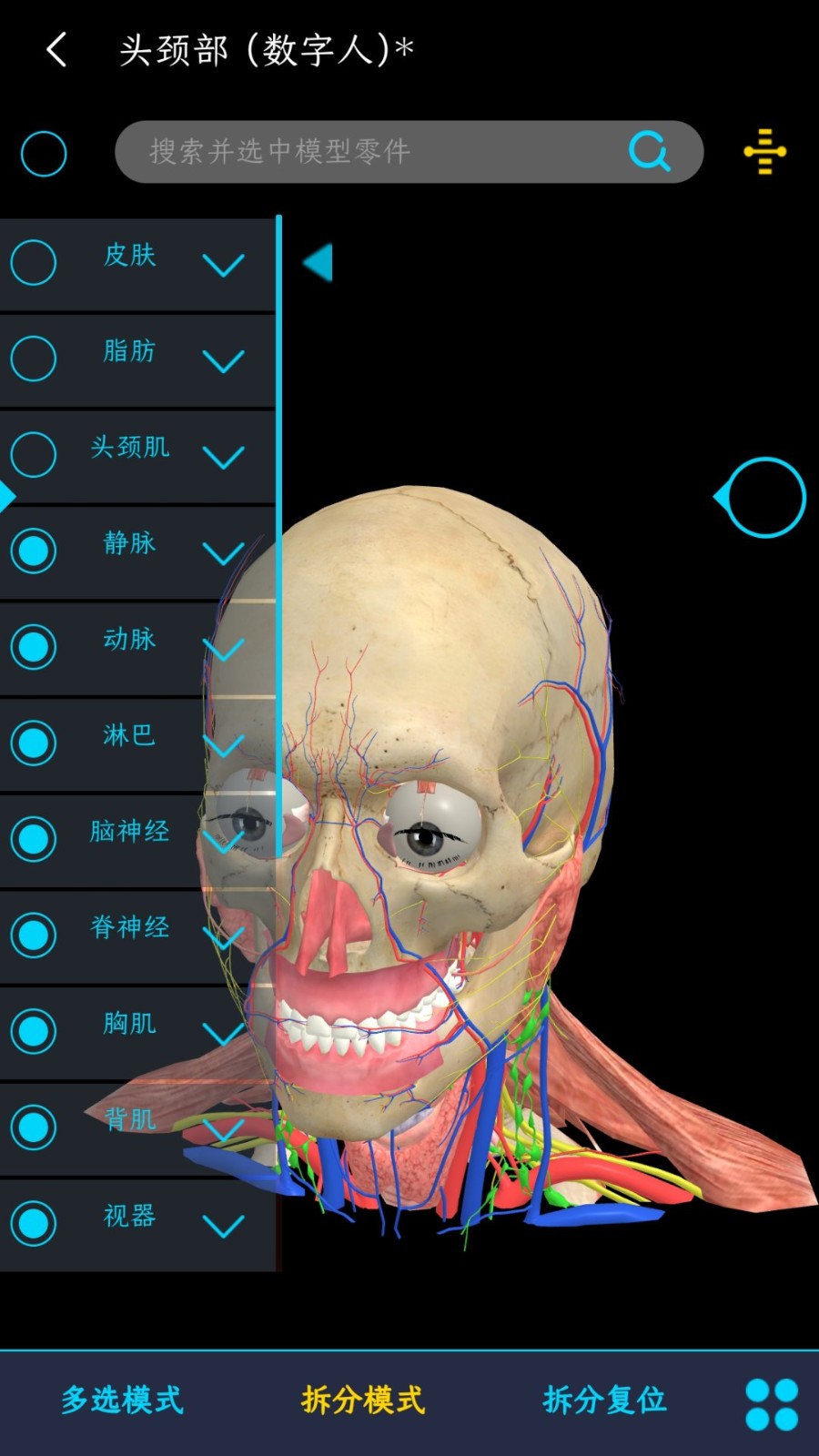 医维度3d人体解剖软件 截图2