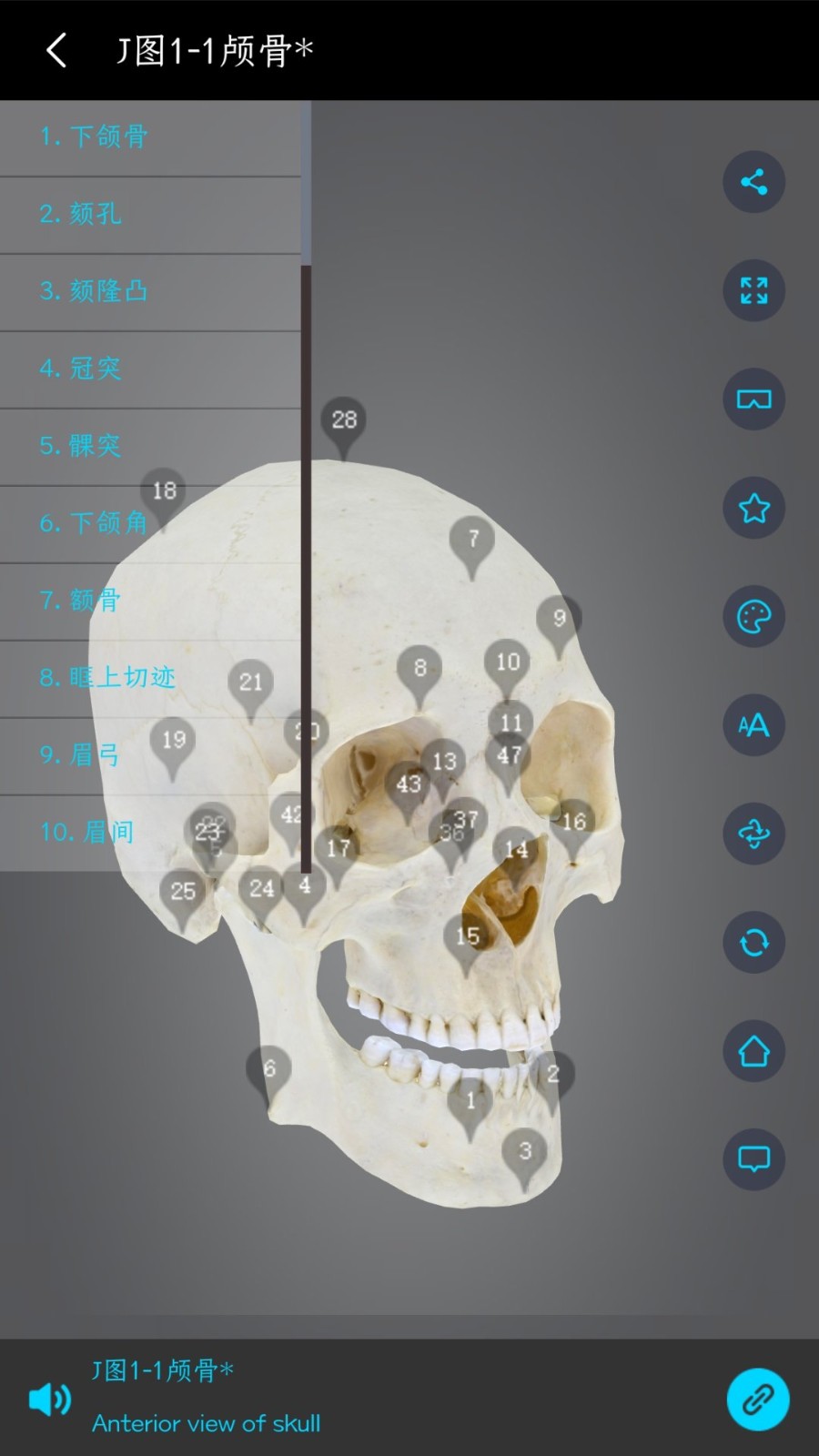 医维度3d人体解剖app下载