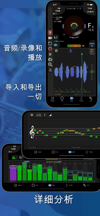 TE调音大师app