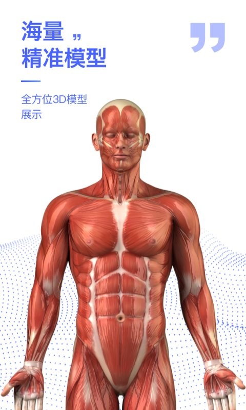 人体3d解剖图谱免费版